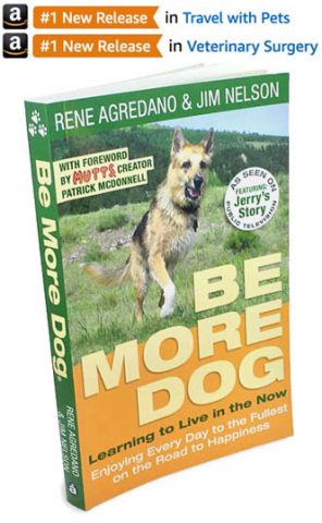 be more dog book