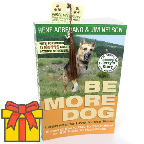 be more dog gift package