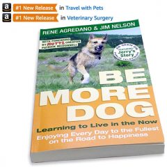 be more dog new release