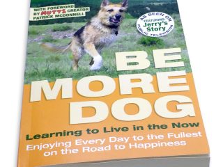 be more dog