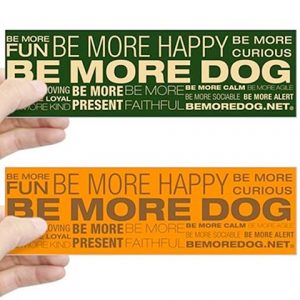 Be More Dog Beliefs Stickers