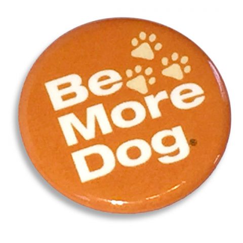 be more dog button