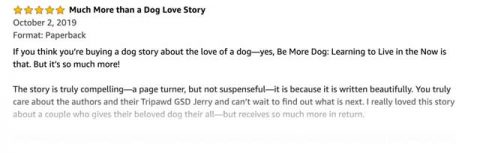 be more dog review
