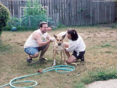 Jerry Puppy Wash