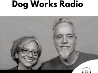 dog works radio