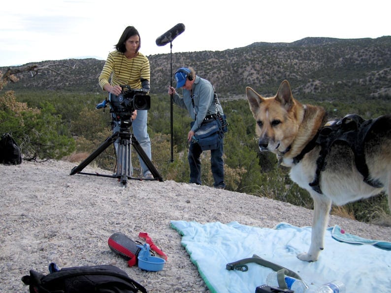 Why We Love Cats and Dogs Tells Be More Dog Story on PBS