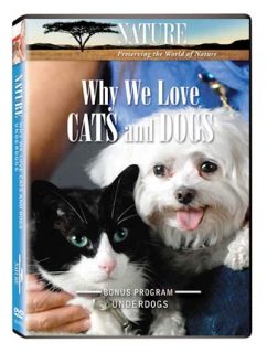 why we love cats and dogs