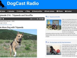dogcast radio