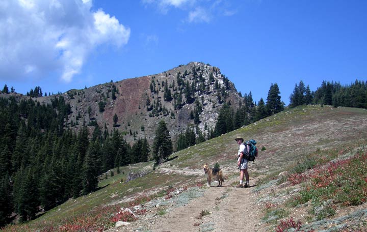 Water Dog Hike