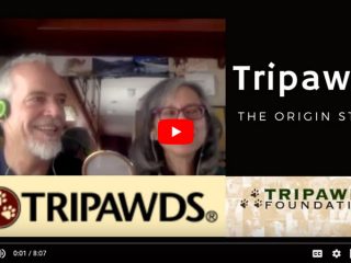 Tripawds Origin Story Video