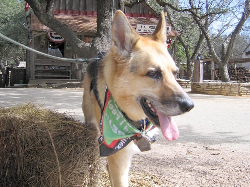 luckenbach jerry