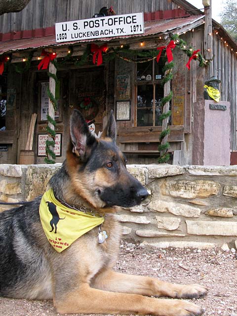 luckenbach wyatt