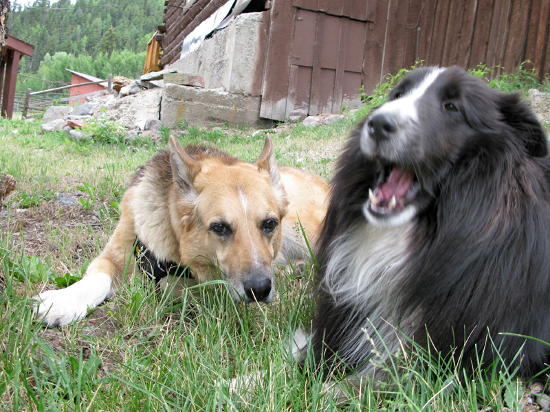 Jerry and Boone