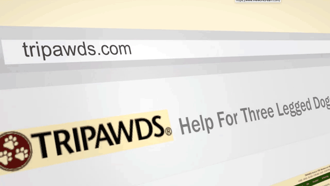 tripawds community