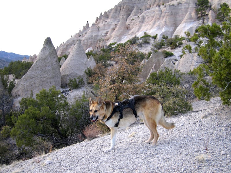 tent rocks