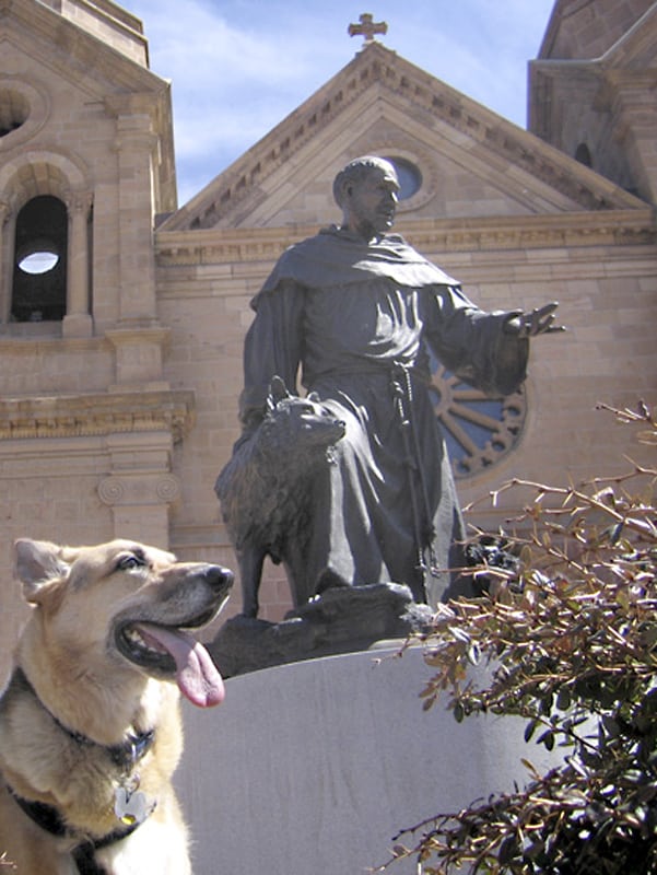 Feast of Saint Francis