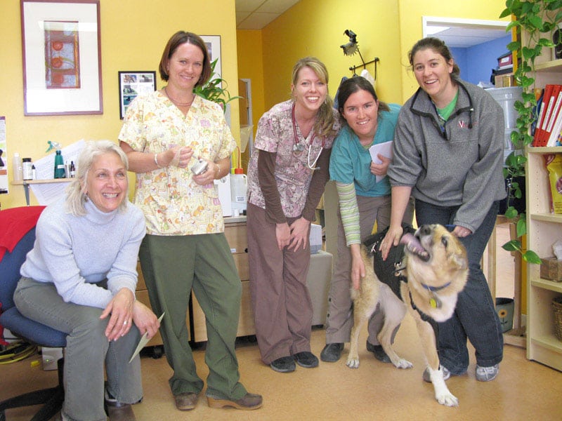 Vet Cancer Care