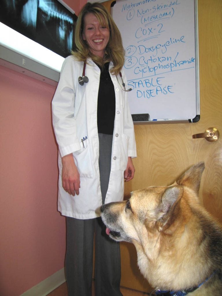 vet cancer care