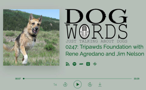 dog words podcast