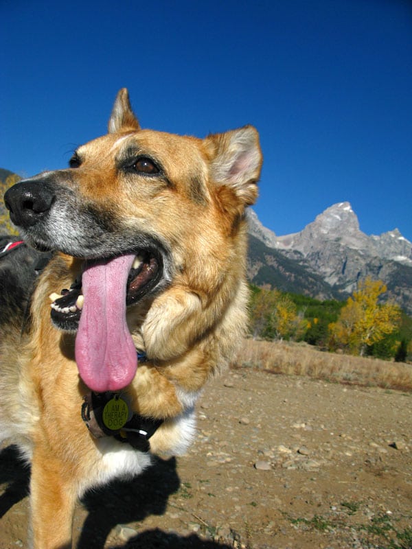 extra long tongue